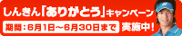 ���肪�Ƃ��L�����y�[��