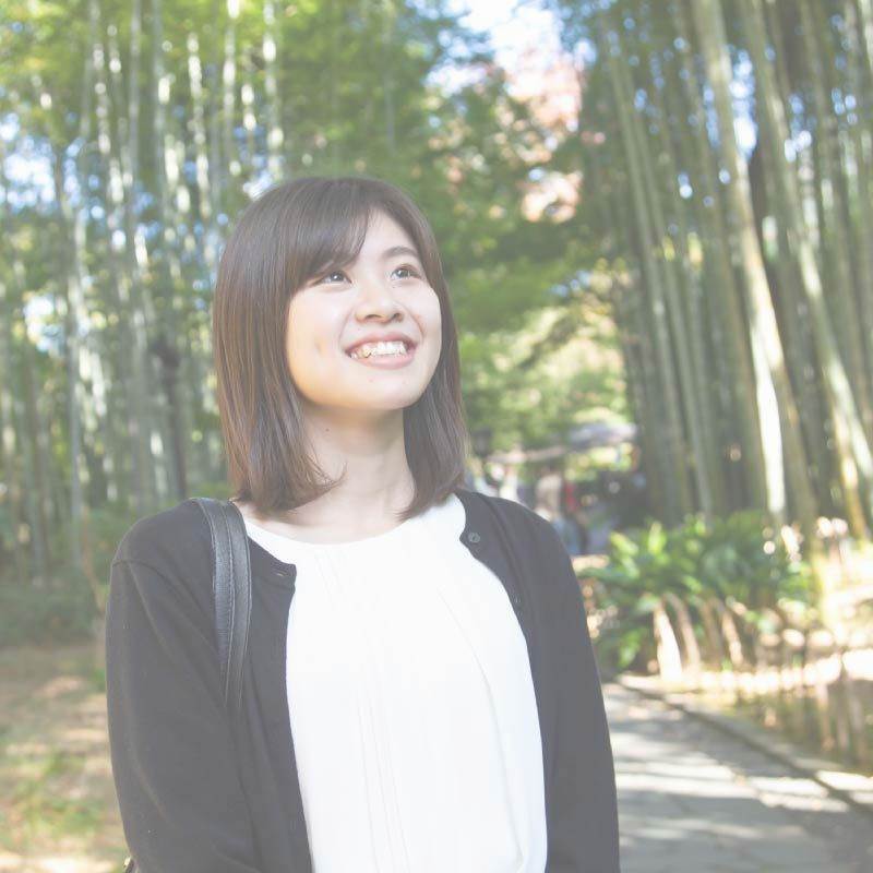 採用情報