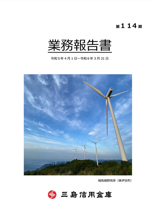業務報告書