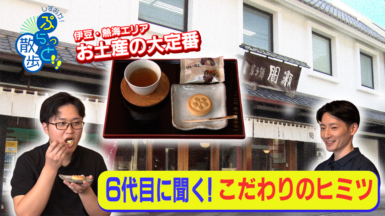 しずおか！ぷらっと散歩2026夏篇