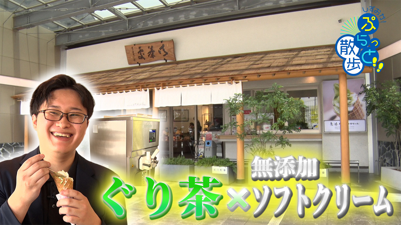 しずおか！ぷらっと散歩2026夏篇
