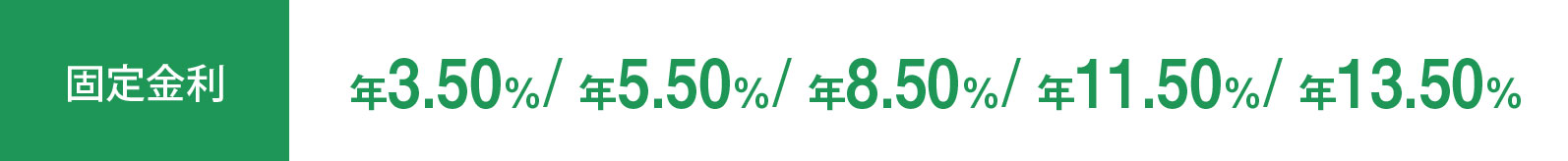 固定金利 年3.90%/年6.00%/年9.00%/年12.00%/年14.00%